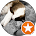 Noorulain profile photo
